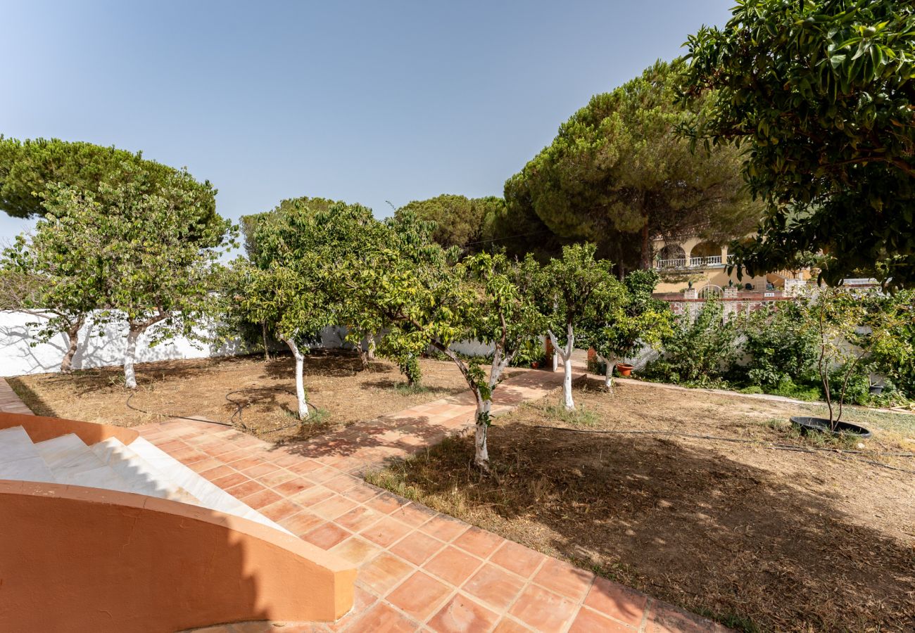 Casa rural en Alhaurin de la Torre - MalagaSuite Cortijo Pinos de Alhaurín