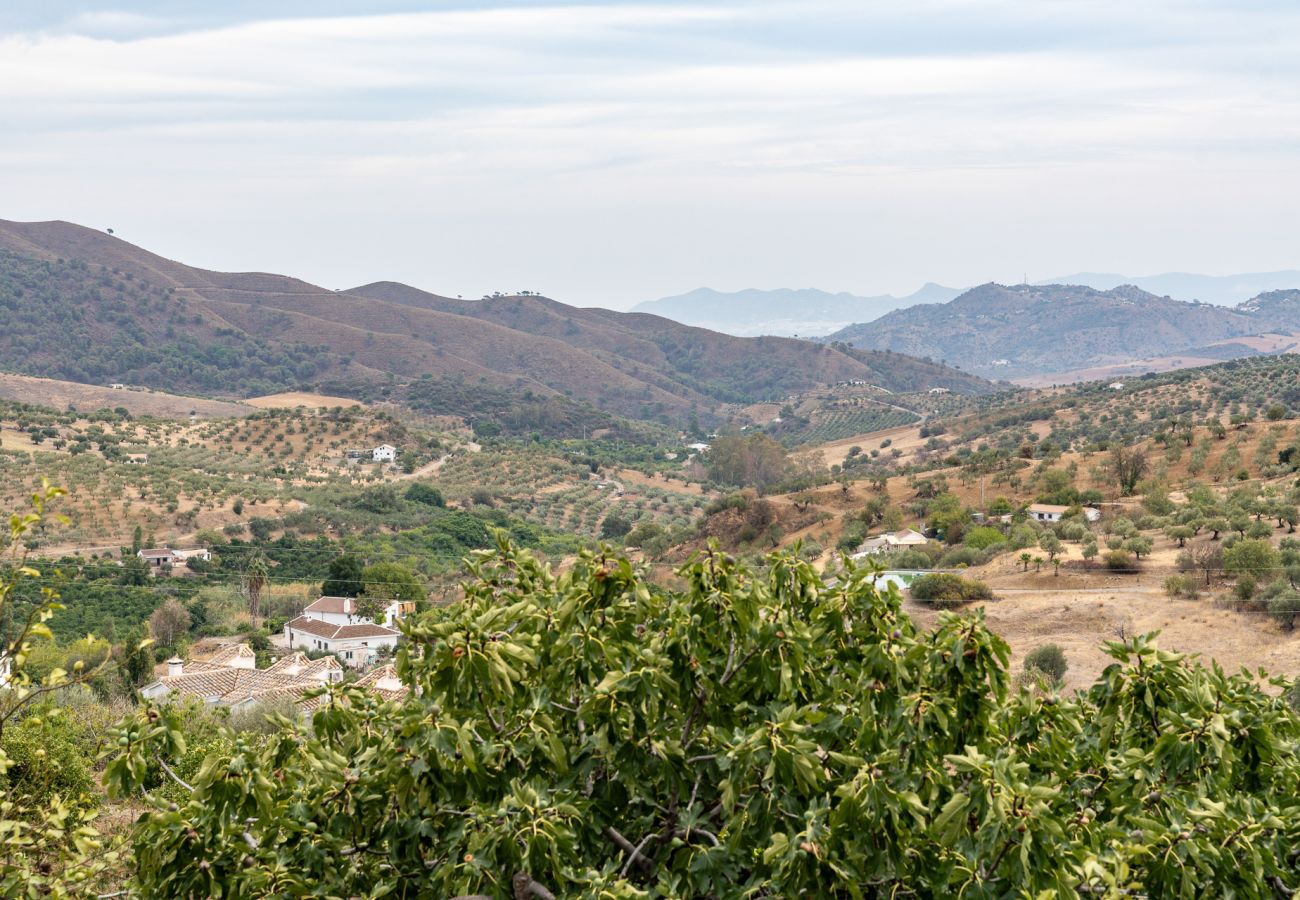 乡间别墅 在 Casarabonela - MalagaSuite Cortijo Robles